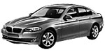 BMW F10 C1816 Fault Code
